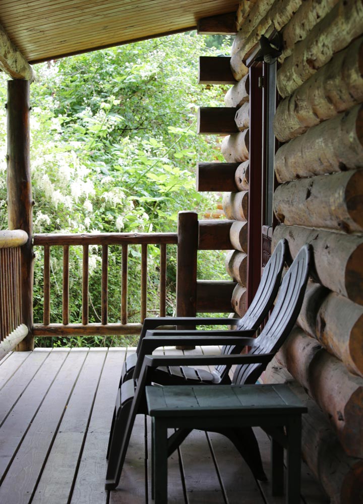 Log Cabin Porch by Lisette Wolter-McKinley