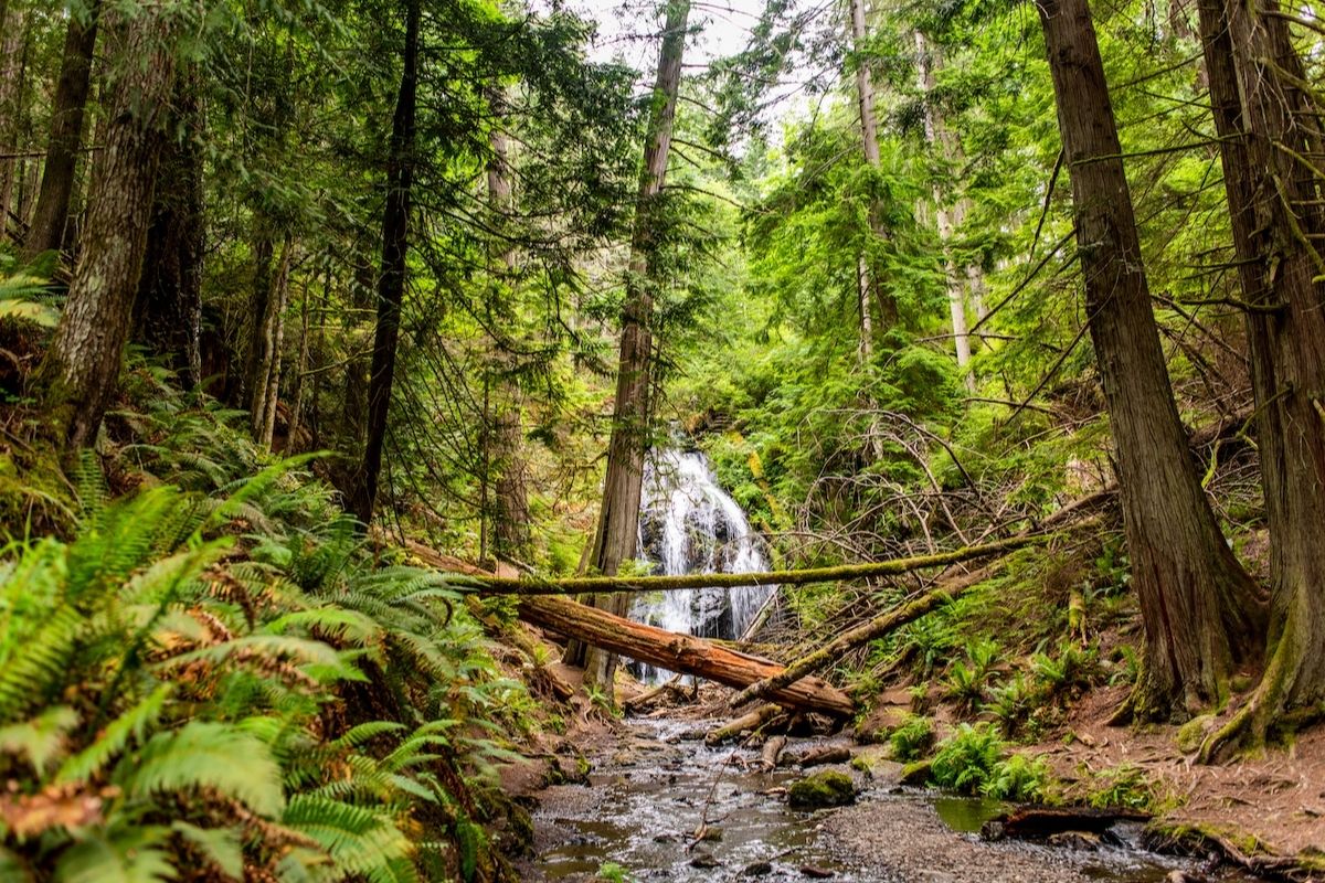 The Ultimate Orcas Island Getaway | Kenmore Air