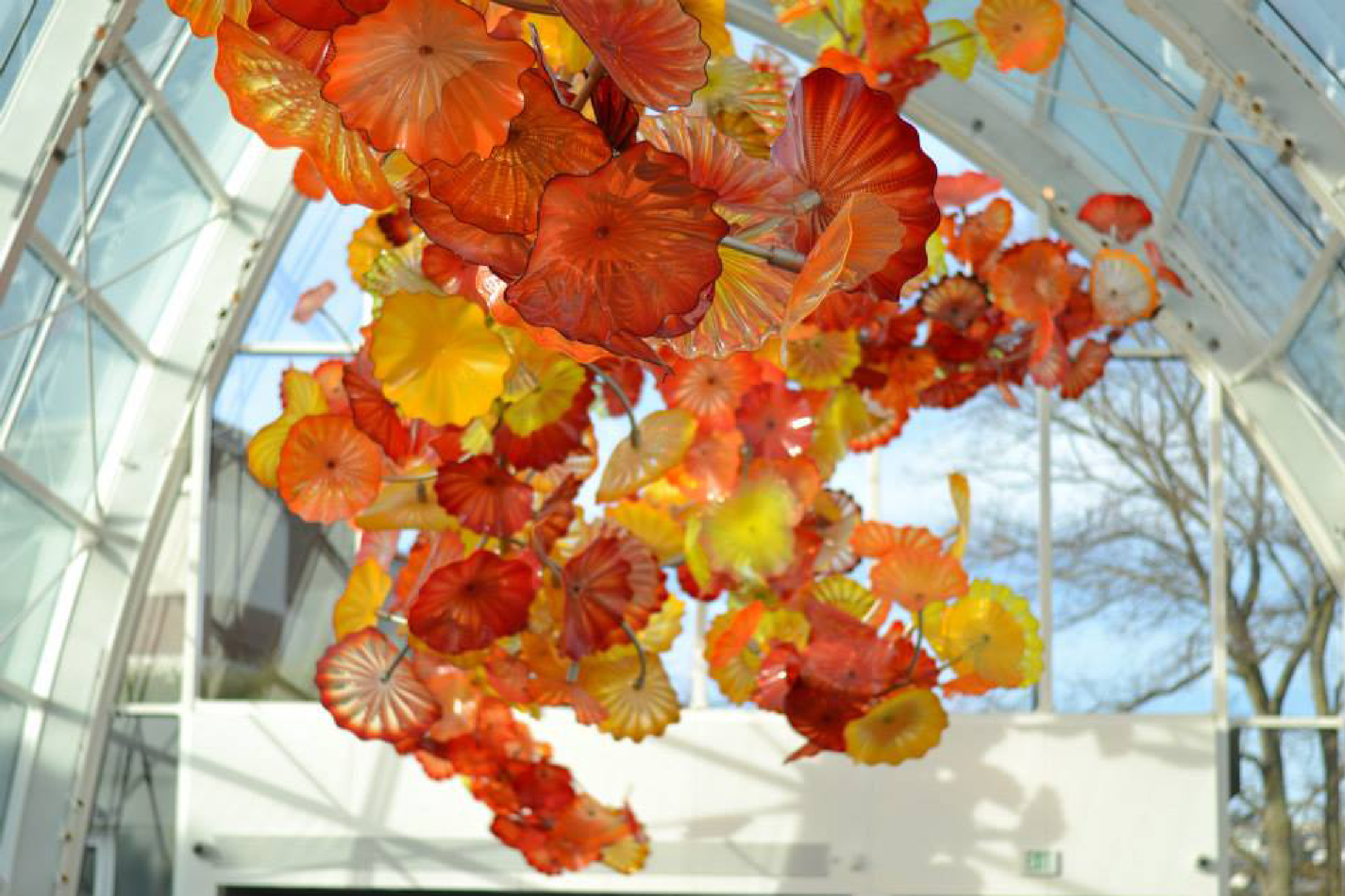 Chihuly Garden of Glass