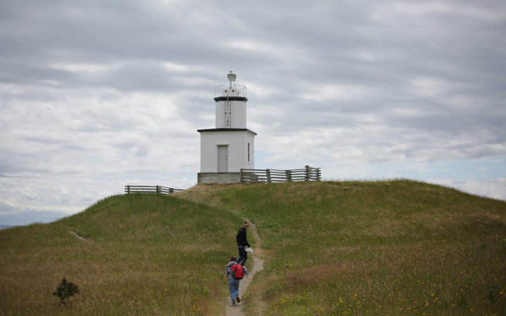 Cattle Point Lighthouse by Lisette Wolter-McKinley