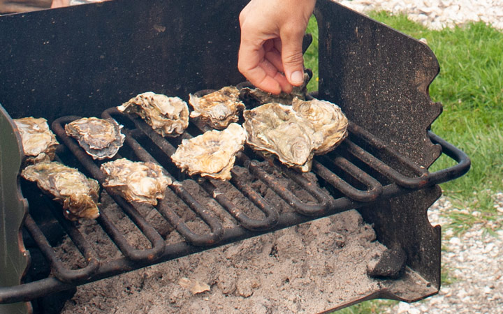 Grilling Oysters