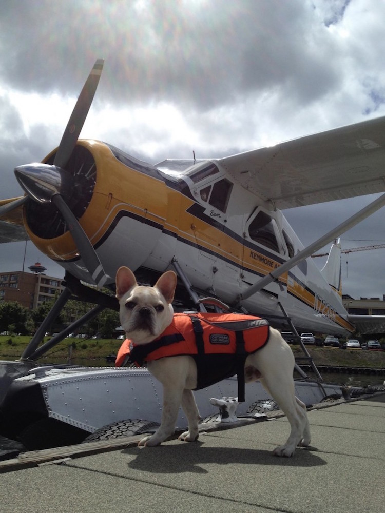 Odin can be found charming passengers at Lake Union.