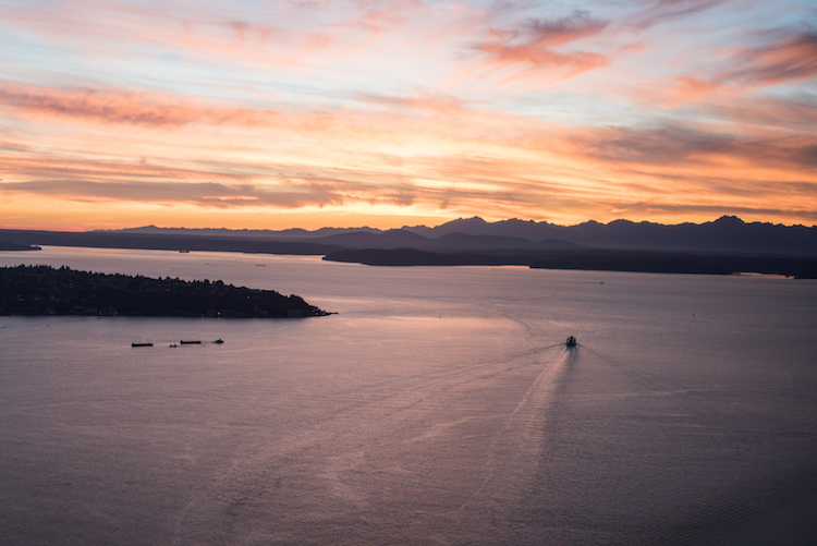 Elliott Bay from the Sky View Observatory