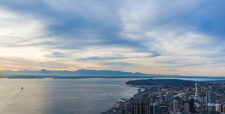 See Seattle From the Land at Sky View Observatory