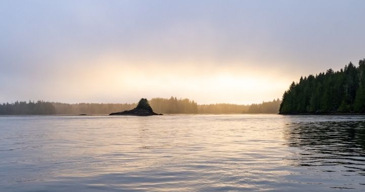 Tofino, A Quiet Respite Loaded with Action