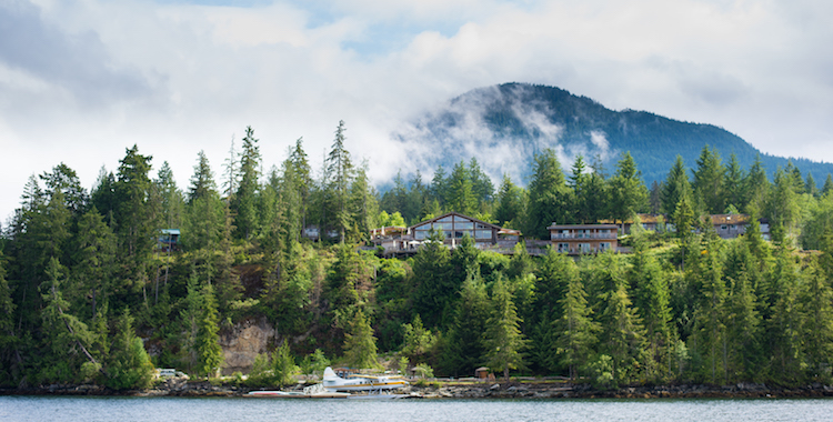 West Coast Wilderness Lodge – The Ultimate ‘Summer Camp’ for Grownups