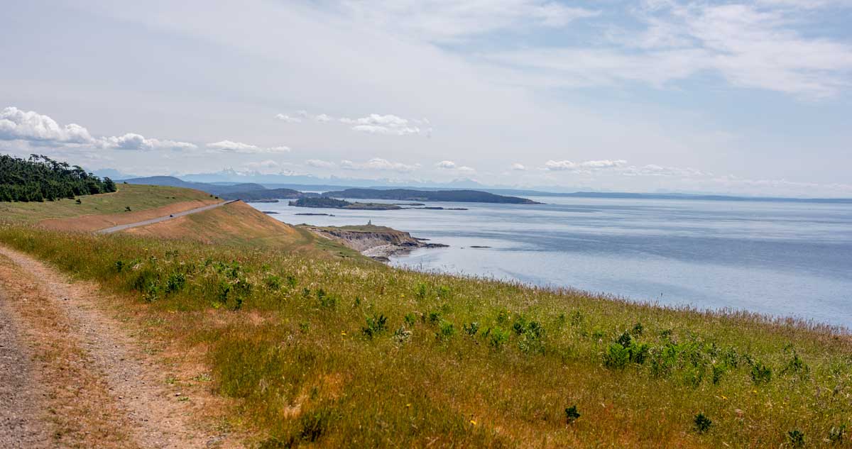 San Juan Island Day Hikes Worth Your Boot Leather