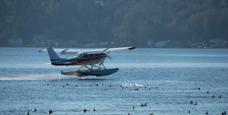 Flight Instruction on Lake Washington