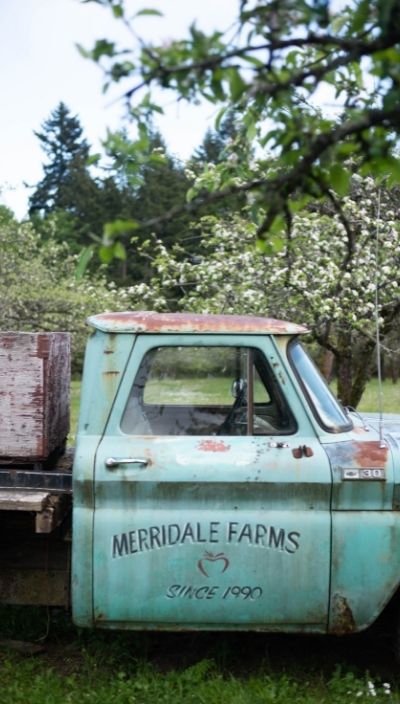 Merridale Cidery and Distillery