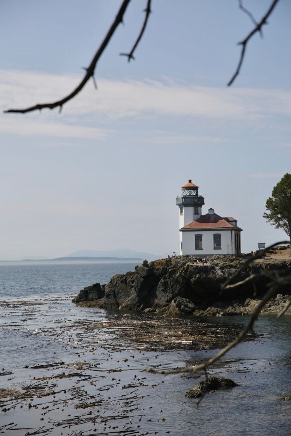 Lime Kiln Lighthouse by Lisette Wolter-McKinley