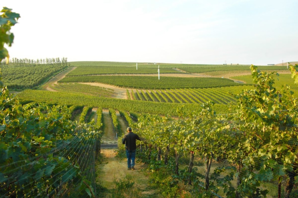 Pepper Bridge Winery - Jean-François