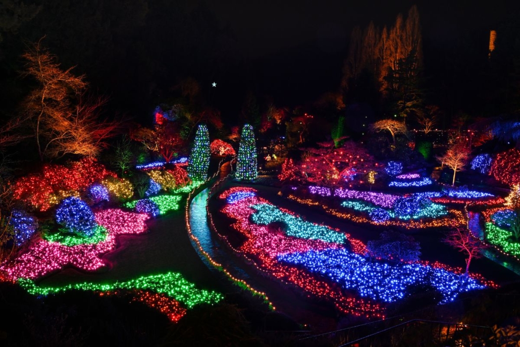 Christmas Lights. Photo Provided by The Butchart Gardens