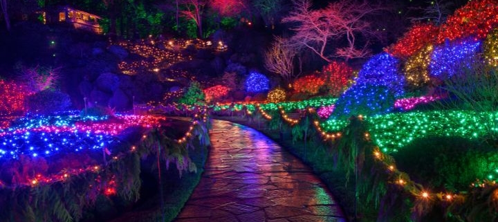 The Magic of Christmas Lights Display. Photo Provided by The Butchart Gardens