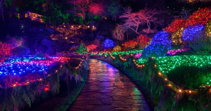 The Magic of Christmas Lights Display. Photo Provided by The Butchart Gardens