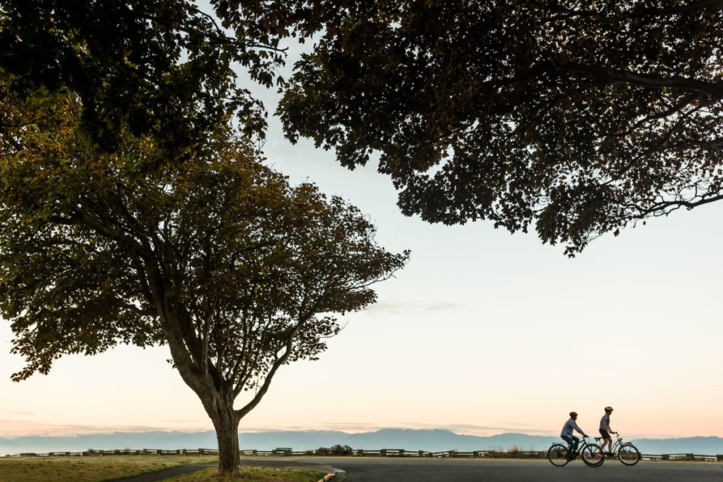 Dallas Road in Victoria. Photo by Destination BC and Reuben Krabbe