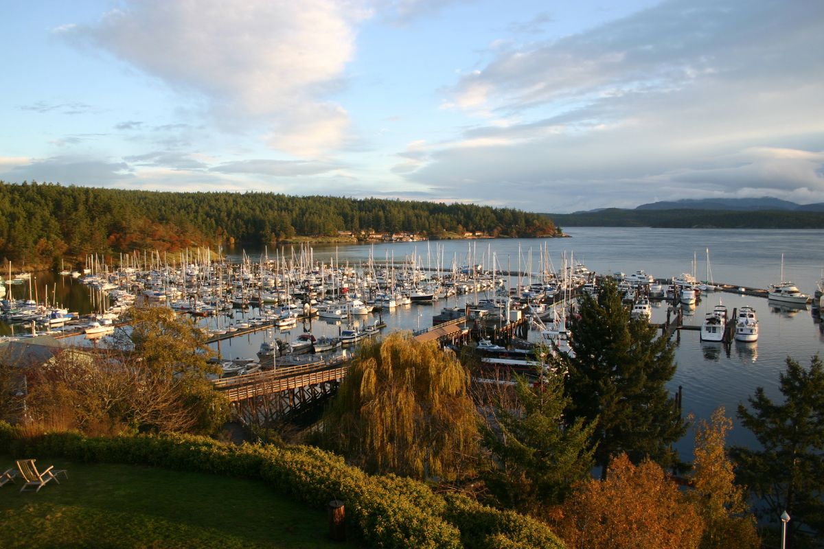 11 Things to Do in Friday Harbor without a Car | Kenmore Air