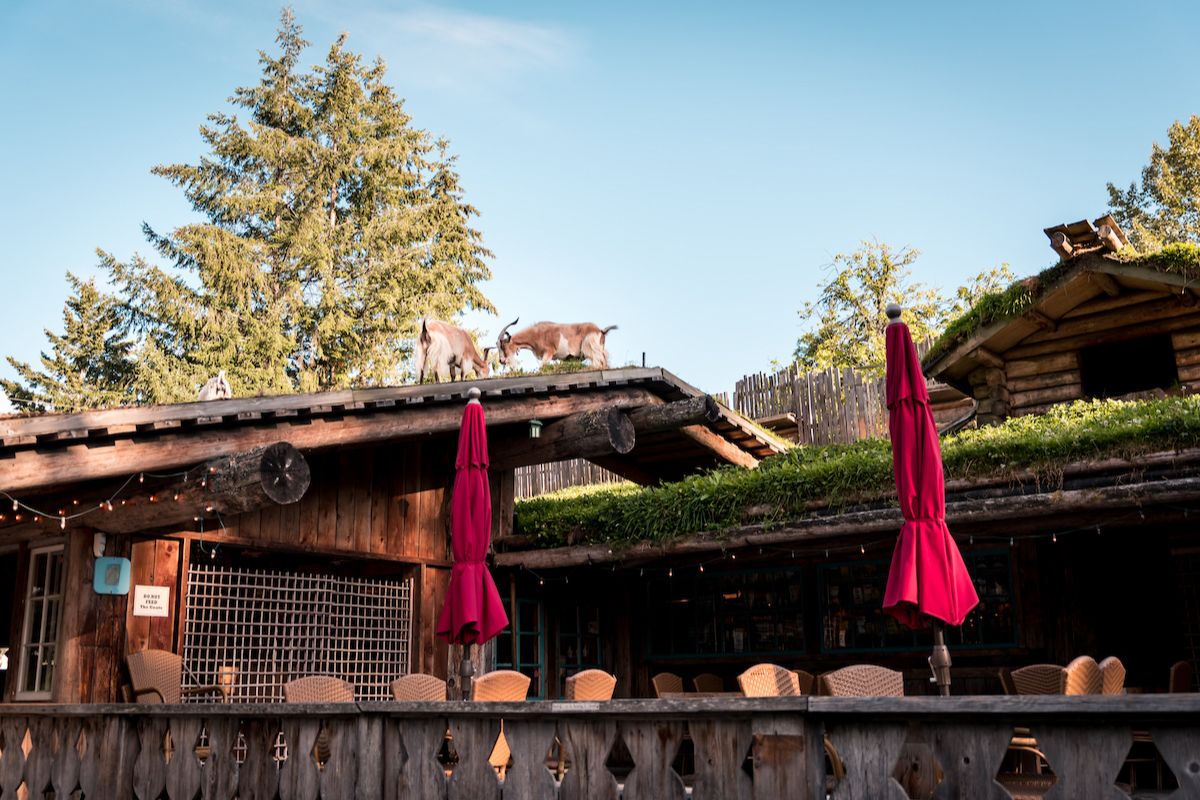 Coombs Bc Family-Friendly Fun on Vancouver Island | Kenmore Air