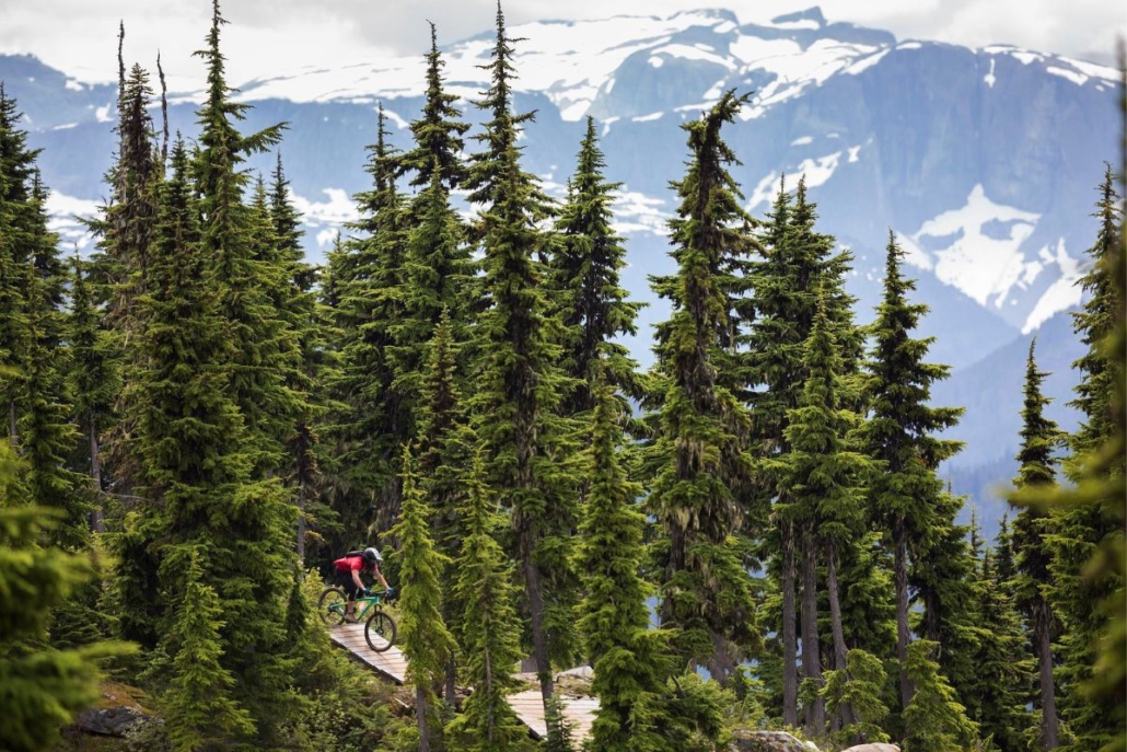 A mountain biker on the Wizard bike trail at Mt Washington. Photo by Destination BC and Boomer Jerritt