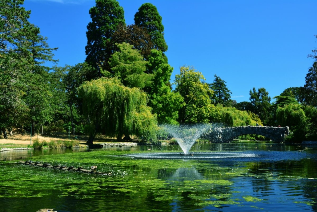 Beacon Hill Park in Victoria BC