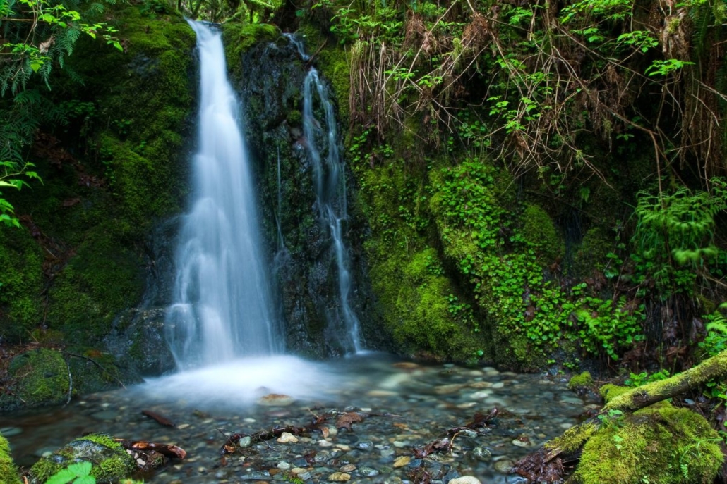 Goldstream Provincial Park