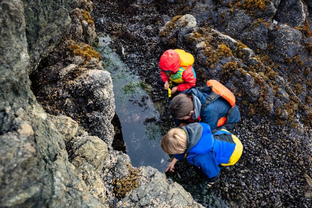 A family looking in a tide pool finds any number of treasures. Photo by Zargon Design.
