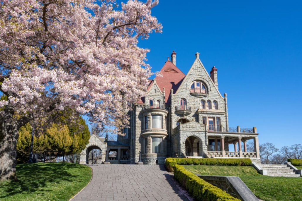 Craigdarroch Castle with cherry blossom during springtime season. Photo by Shawn CCF