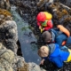 Family Looking in Tidepool in the Pacific Northwest. Photo by Zargon Design.