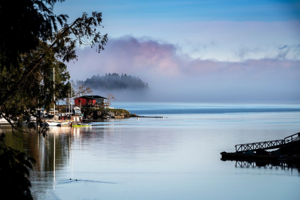 Foggy Morning at Butchart Cove. Photo provided by The Butchart Gardens