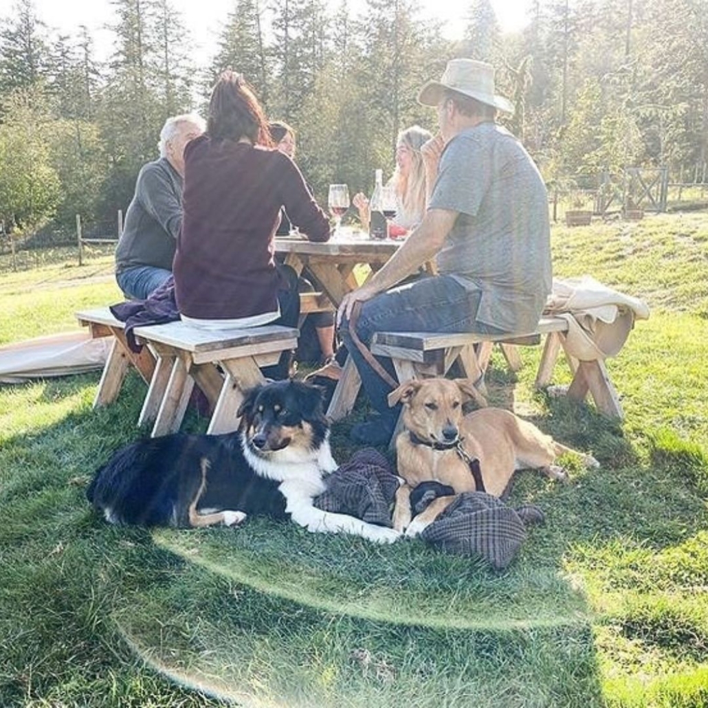 Orcas Island Winery Picnic Tables