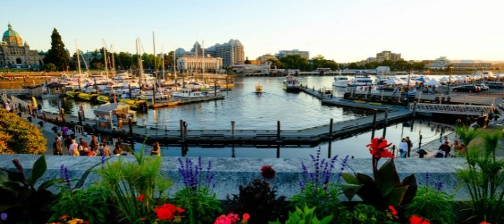 Victoria Inner Harbour Glowing