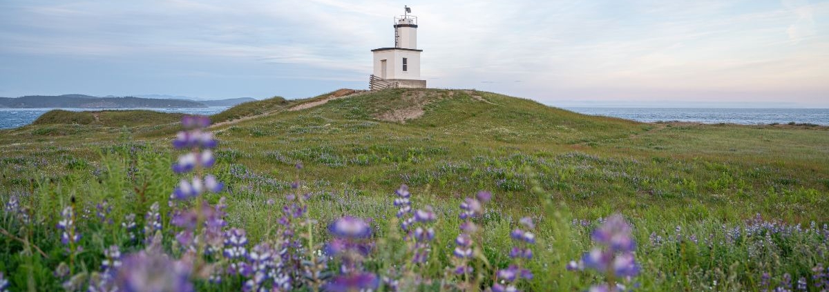 Cattle Point