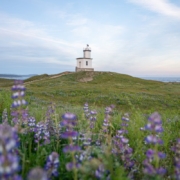 Cattle Point