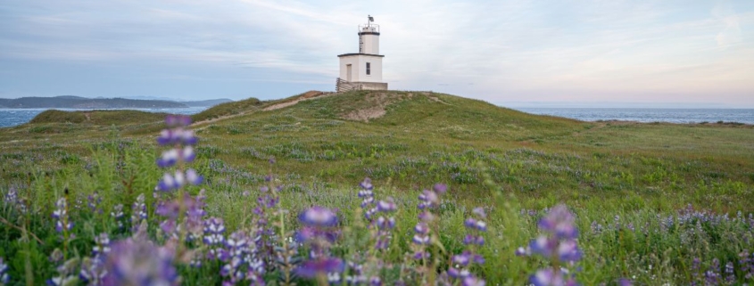 Cattle Point