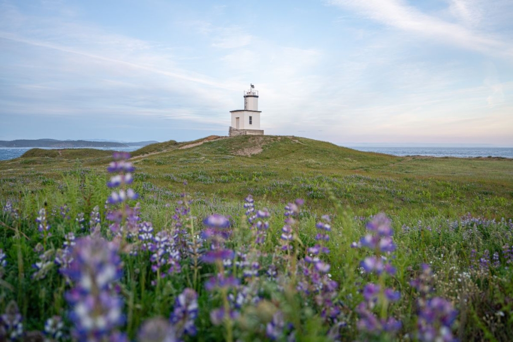 Cattle Point Lighthouse by Jack Riley