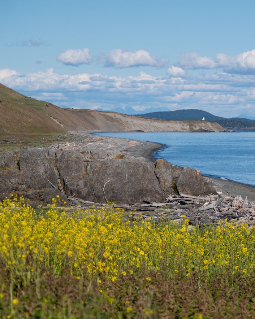 Cattle Point on San Juan Island