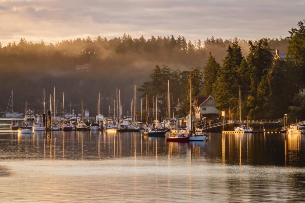 Fog rising in Friday Harbor