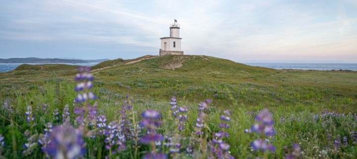 San Juan Island Cattle Pint Lighthouse by Jack Riley