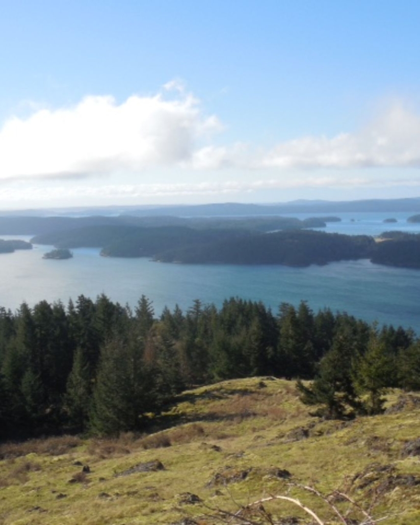 Turtleback Mountain