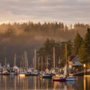 Fog rising in Friday Harbor Marina