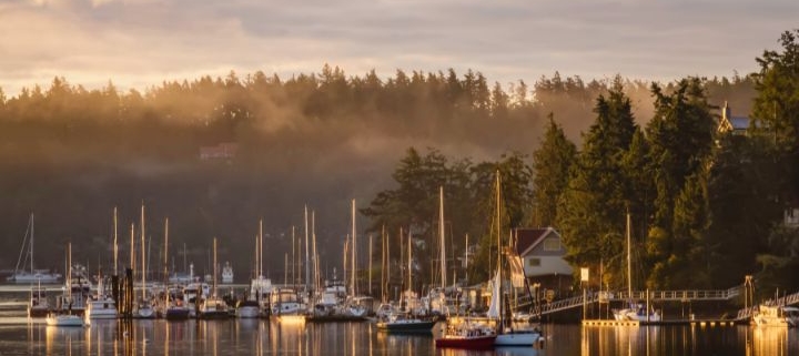 Fog rising in Friday Harbor Marina