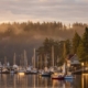 Fog rising in Friday Harbor Marina