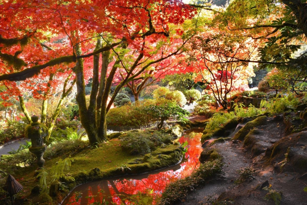 Fall at The Butchart Gardens