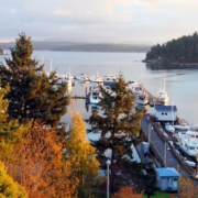 Friday Harbor Golden Hour. Photo by BrendanHunter