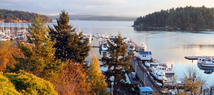 Friday Harbor Golden Hour. Photo by BrendanHunter