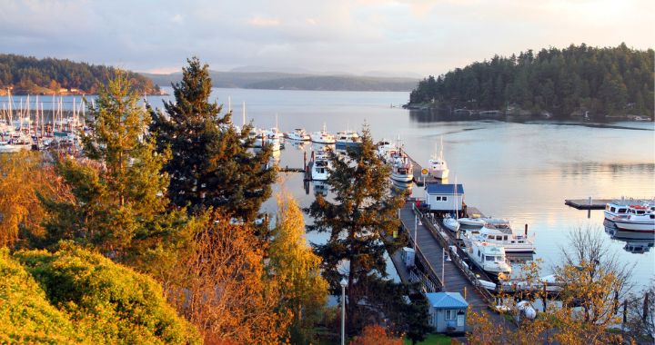 Friday Harbor Golden Hour. Photo by BrendanHunter