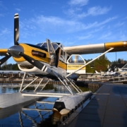 Kenmore Air WDFW Survey Plane